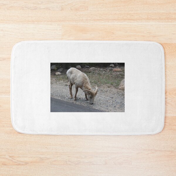 Item preview, Colorado wildlife designed and sold by Lee Dick.