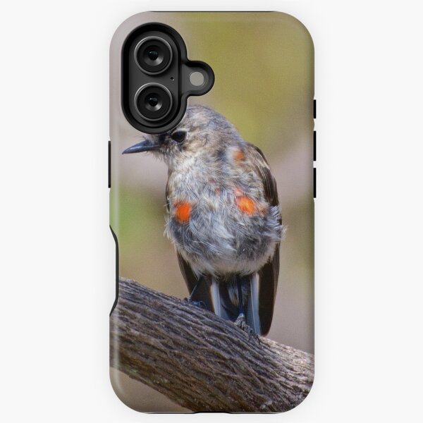 ROBIN ~ Flame Robin A28yRUBn by David Irwin iPhone Tough Case