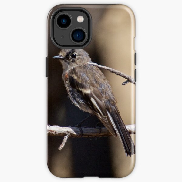 ROBIN ~ Flame Robin UEsBrRgG by David Irwin iPhone Tough Case