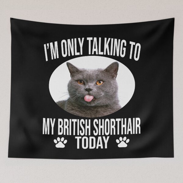 Item preview, funny british shorthair cat gift i m only talking to my british shorthair today designed and sold by alaechamlal.