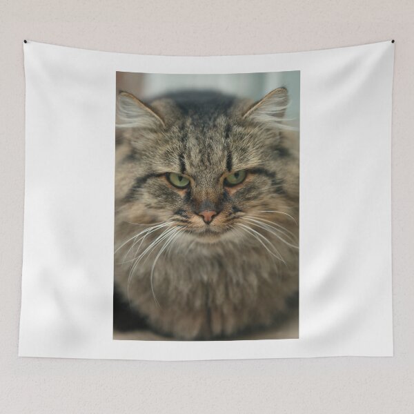 Item preview, Portrait of green eyed cat designed and sold by olena2552.