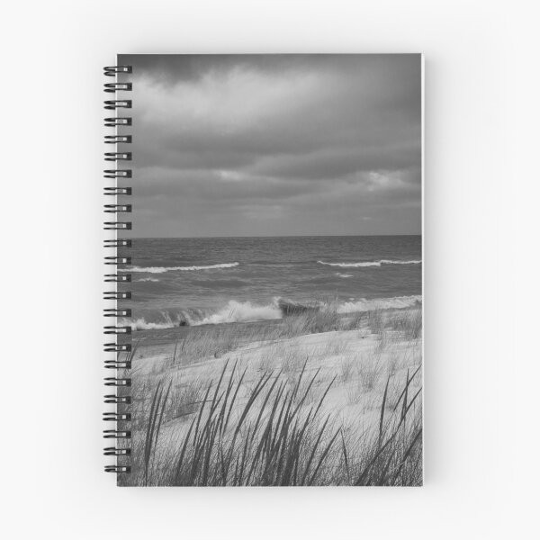 Item preview, Indiana Dunes in Winter designed and sold by Rita Anthony.