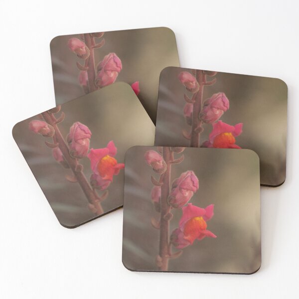 Item preview, doggy flower, warm colors designed and sold by Sergio Roberto Peña y Lillo Lonconao.