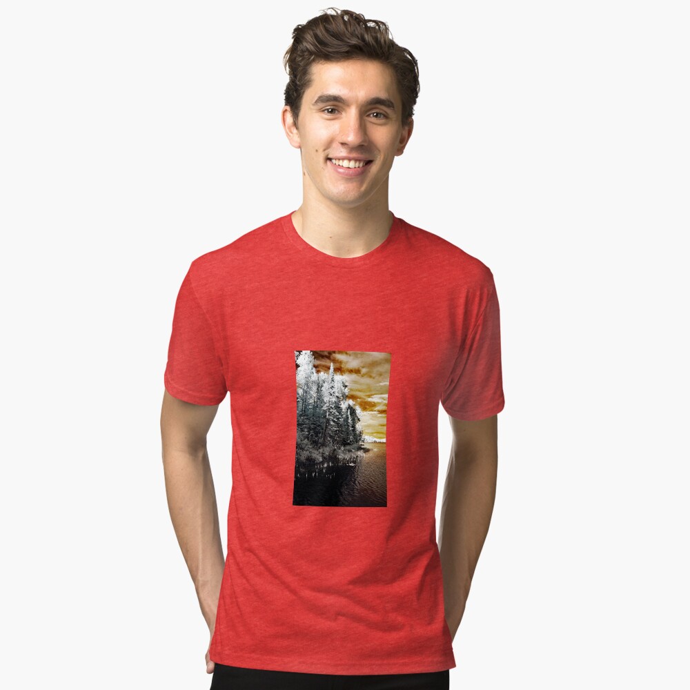 Item preview, Tri-blend T-Shirt designed and sold by char55116.