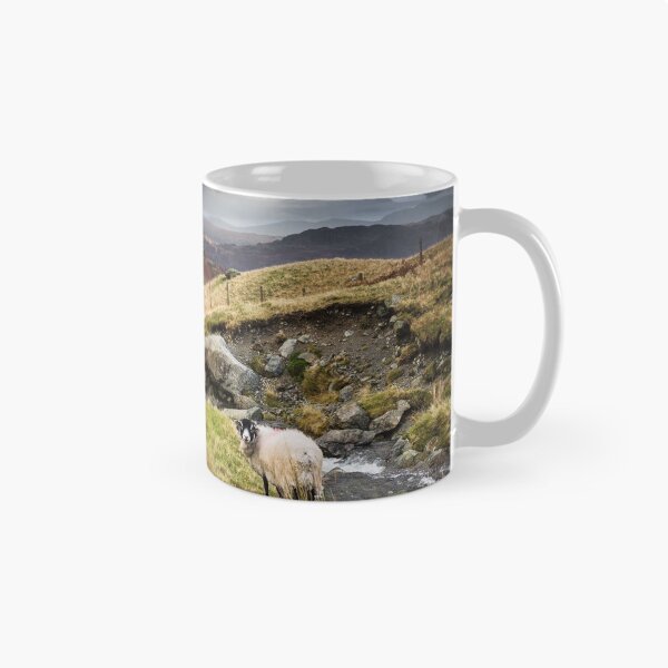 Aperçu de l'œuvre Borrowdale Valley in the Lake District créée et vendue par heidipics.