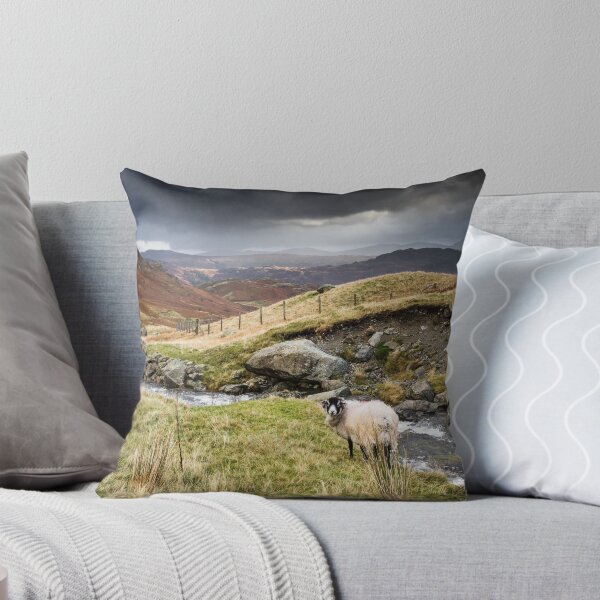 Item preview, Borrowdale Valley in the Lake District designed and sold by heidipics.