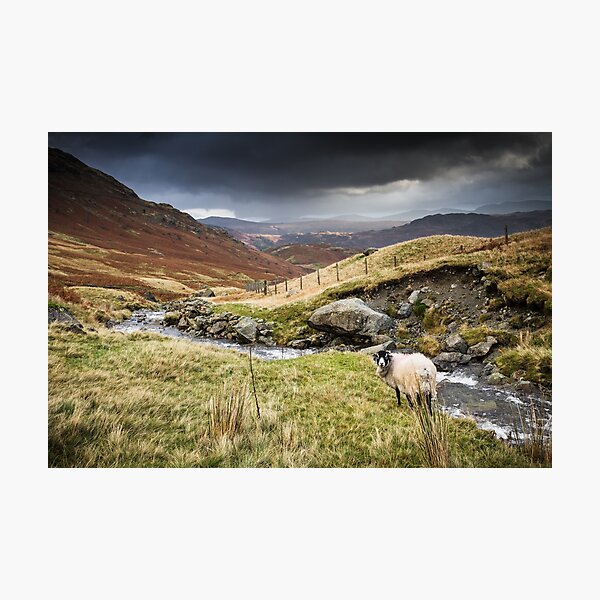 Item preview, Borrowdale Valley in the Lake District designed and sold by heidipics.