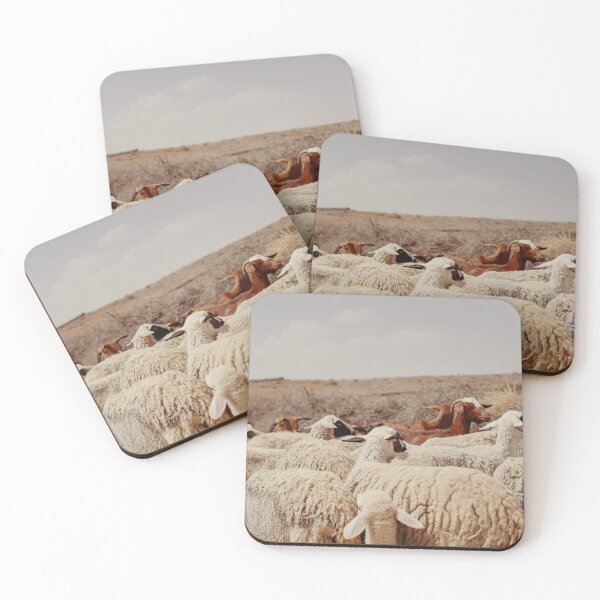 Item preview, sheeps and goats of Marrakech, Morocco designed and sold by Morocco Marrakech Photo Prints.