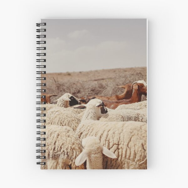 Item preview, sheeps and goats of Marrakech, Morocco designed and sold by Morocco Marrakech Photo Prints.
