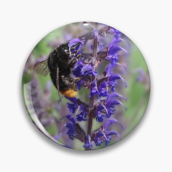 Item preview, Feeding Bee designed and sold by Stacey Vivian.