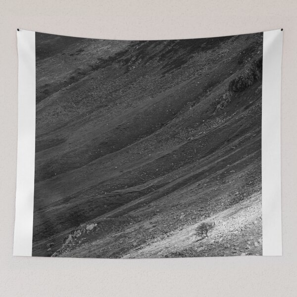 Item preview, Light on the Hillside designed and sold by heidipics.