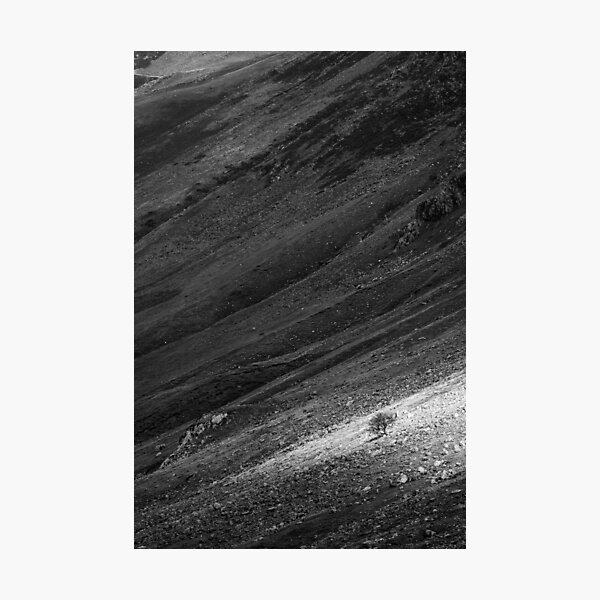Item preview, Light on the Hillside designed and sold by heidipics.