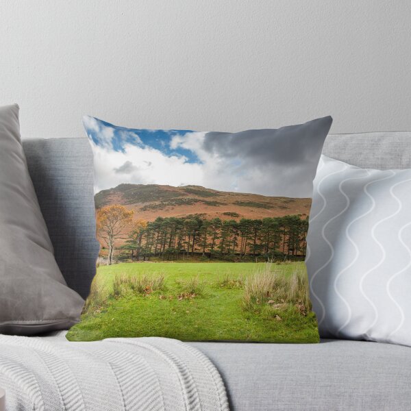 Item preview, Trees at Crummock Water designed and sold by heidipics.