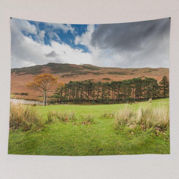 Item preview, Trees at Crummock Water designed and sold by heidipics.