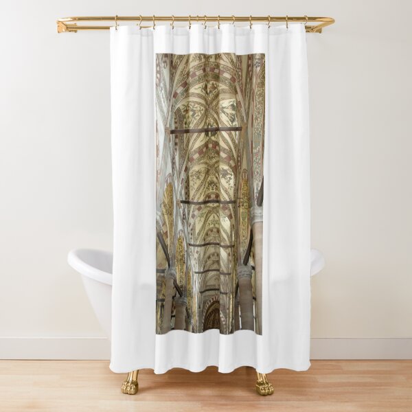 The Nave Ceiling - Basilica de S. Anastasia, Verona Shower Curtain
