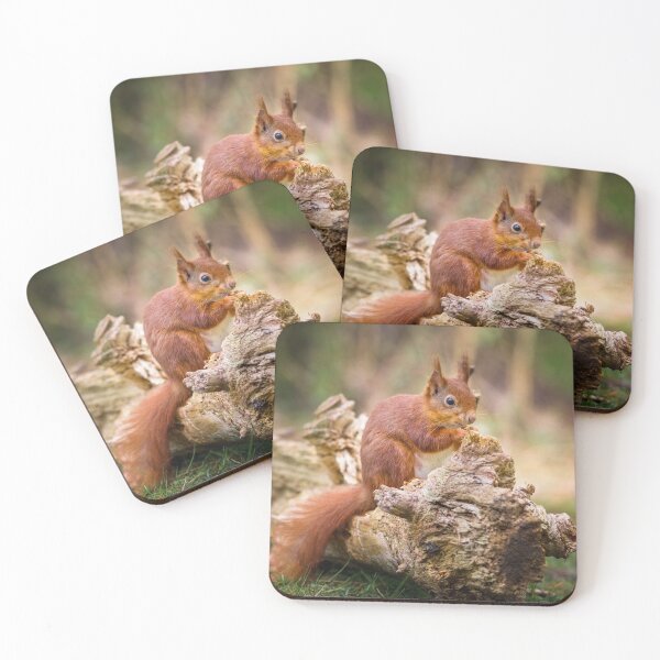 Item preview, Red Squirrel, Sciurus vulgaris designed and sold by heidipics.