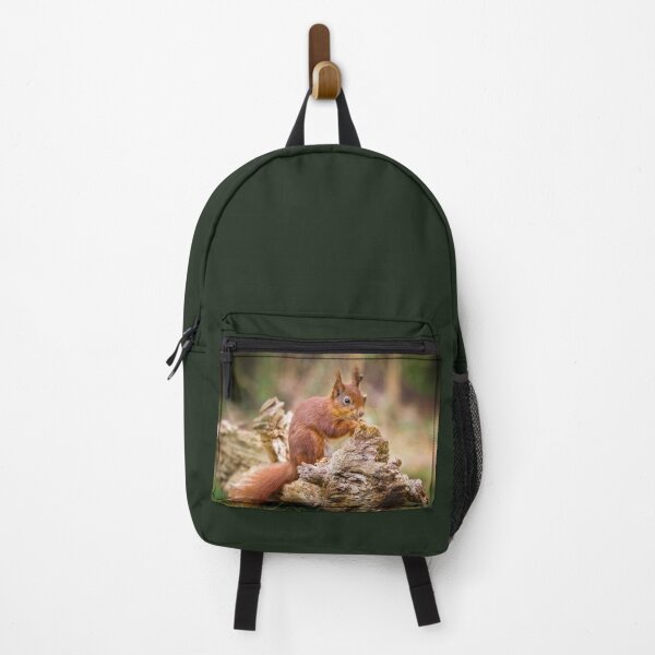 Item preview, Red Squirrel, Sciurus vulgaris designed and sold by heidipics.