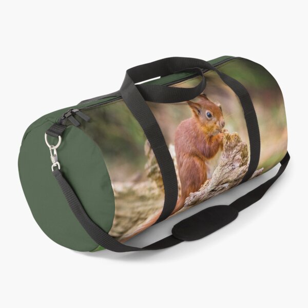 Artikelvorschau, Red Squirrel, Sciurus vulgaris entworfen und verkauft von heidipics.