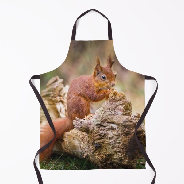 Item preview, Red Squirrel, Sciurus vulgaris designed and sold by heidipics.