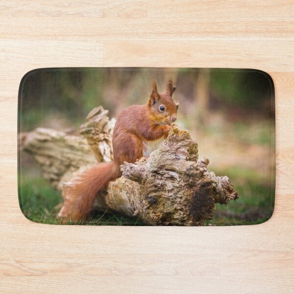 Item preview, Red Squirrel, Sciurus vulgaris designed and sold by heidipics.