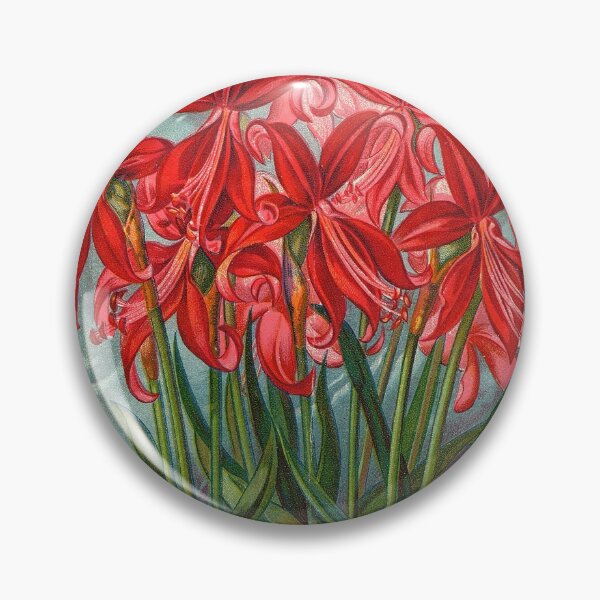 Item preview, The scarlet Mexican lily -  Dingee 1897 designed and sold by killies.
