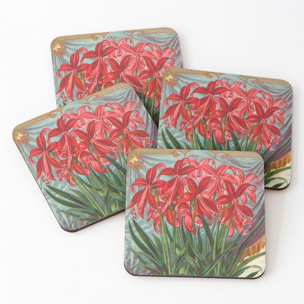Item preview, The scarlet Mexican lily -  Dingee 1897 designed and sold by killies.