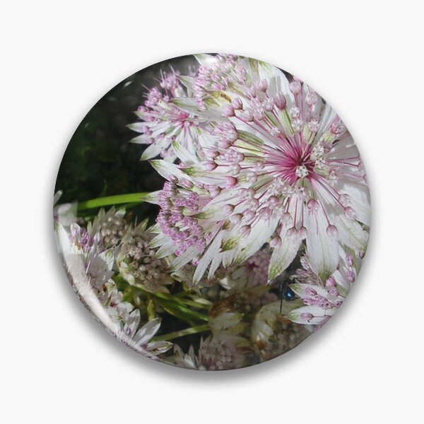 Item preview, Astrantia designed and sold by lezvee.