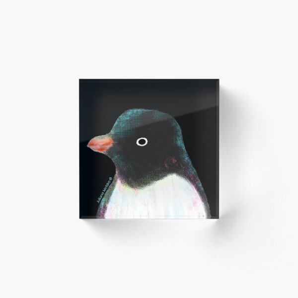 Adélie Penguin Acrylic Block