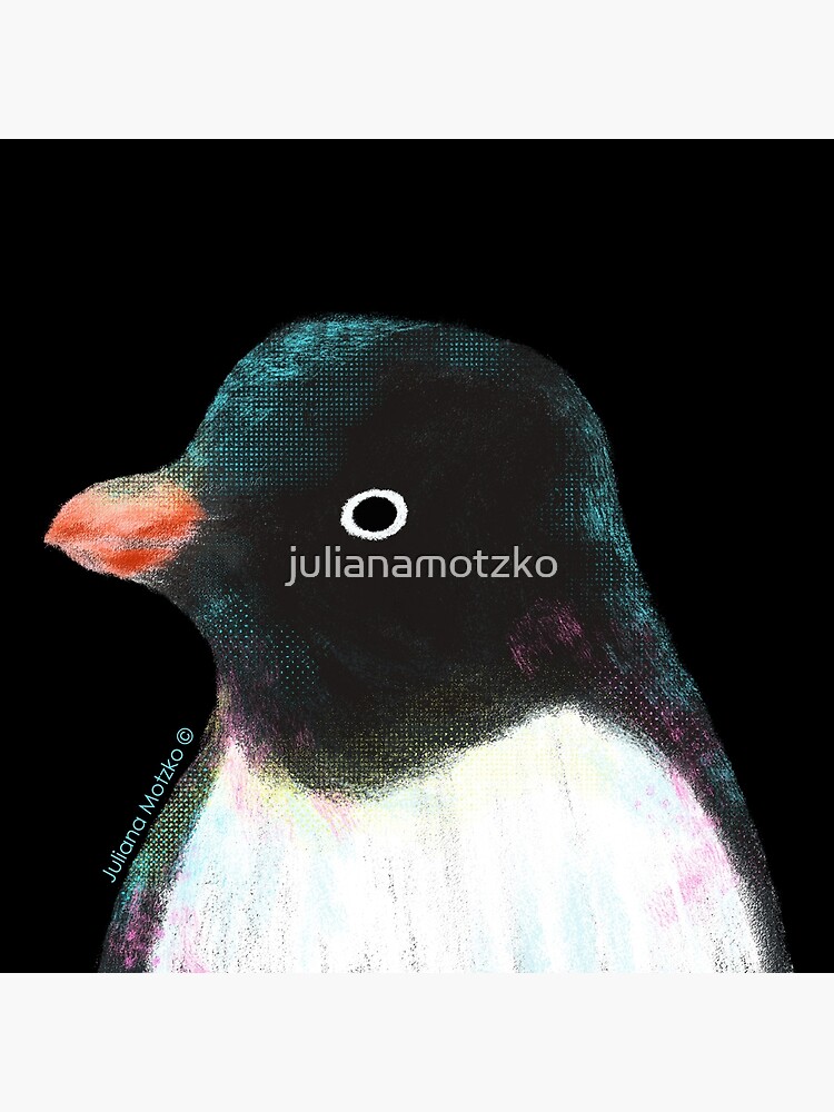 Adélie Penguin by julianamotzko