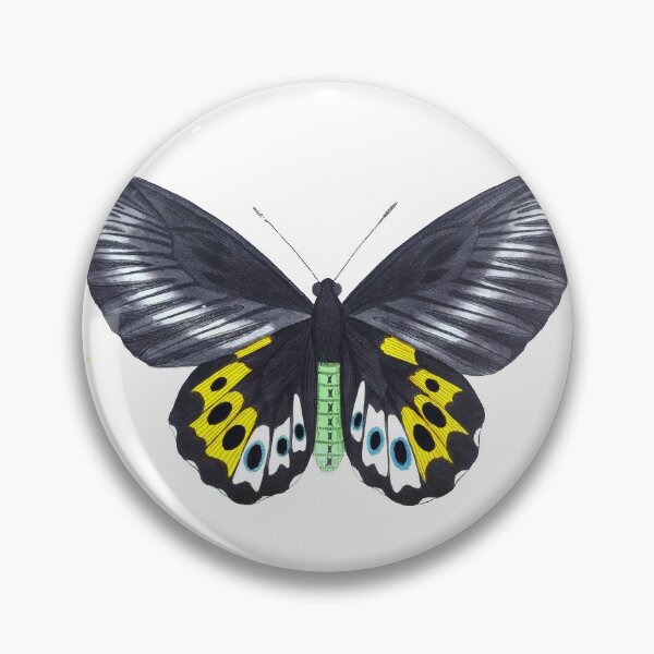 Item preview, Vintage Panthous Butterfly Print (1789) designed and sold by Douglas E. Welch Design and Photography.
