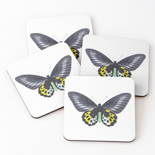 Item preview, Vintage Panthous Butterfly Print (1789) designed and sold by Douglas E. Welch Design and Photography.