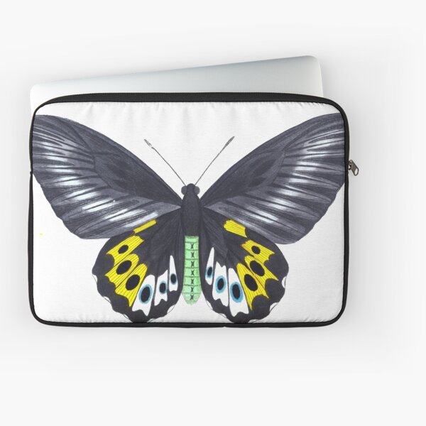 Vintage Panthous Butterfly Print (1789) Laptop Sleeve
