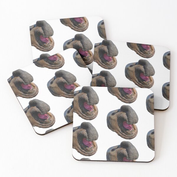 Item preview, Elephant Seal Face Mammal Raised Trunk Laughs Teases designed and sold by SlightUser.