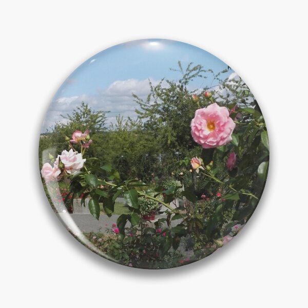 Item preview, Pink climbing rose in Europa Rosarium rose garden designed and sold by wineandwords.