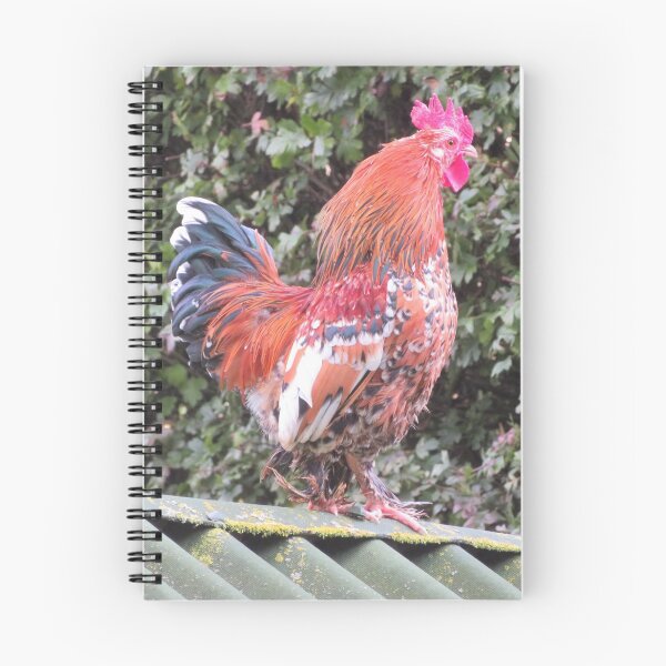 Item preview, Barbu d'Uccle Rooster designed and sold by LadyKandis.