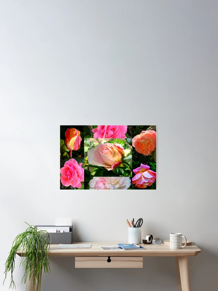Thumbnail 2 of 3, Poster, Birth Roses designed and sold by lezvee.