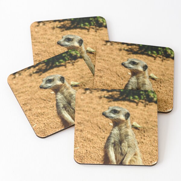 Item preview, Posando Meerkat en el zoológico designed and sold by eidann.