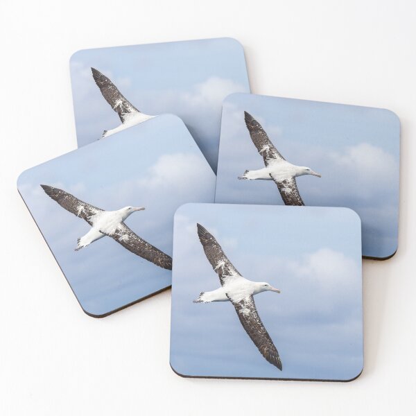 Item preview, Wandering Albatross designed and sold by iansmissenphoto.