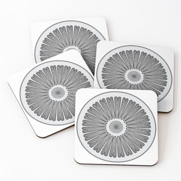 Item preview, Diatom - Arachnodiscus - Artwork designed and sold by DiatomsATTACK.