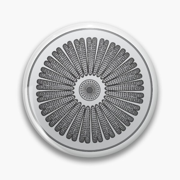 Item preview, Diatom - Arachnodiscus - Artwork designed and sold by DiatomsATTACK.