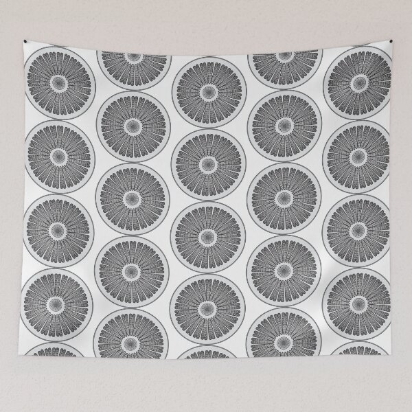 Item preview, Diatom - Arachnodiscus - Artwork designed and sold by DiatomsATTACK.