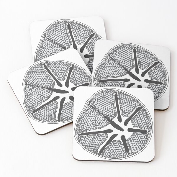 Item preview, Diatom - Asteromphalus - Artwork designed and sold by DiatomsATTACK.