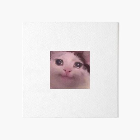 Crying Cat Croc Meme Art Board Print for Sale by bgsmall
