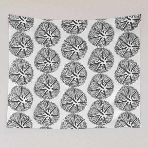 Item preview, Diatom - Asteromphalus - Artwork designed and sold by DiatomsATTACK.