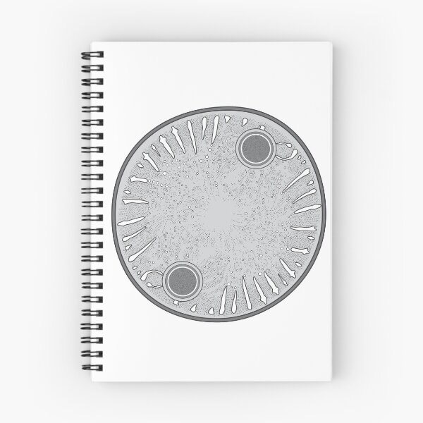 Item preview, Diatom - Auliscus - Artwork designed and sold by DiatomsATTACK.