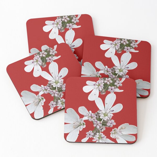Item preview, Coriander flower  designed and sold by HORTYBYNATURE.