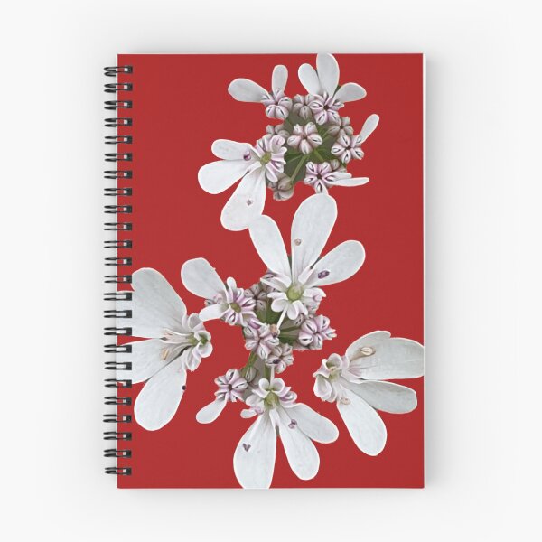 Item preview, Coriander flower  designed and sold by HORTYBYNATURE.