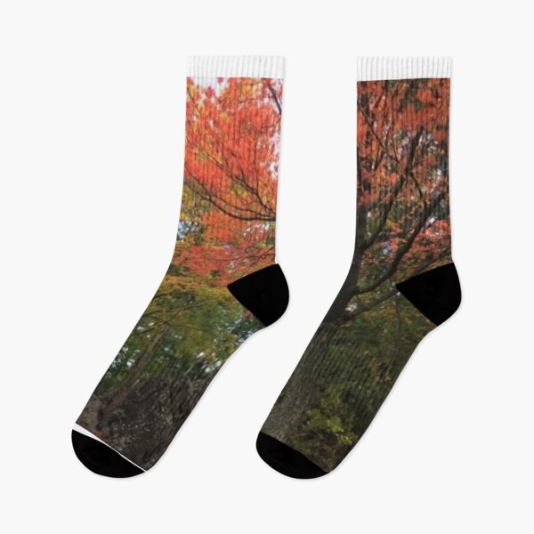 Item preview, Autumn, Fall Trees designed and sold by Quipplepunk.