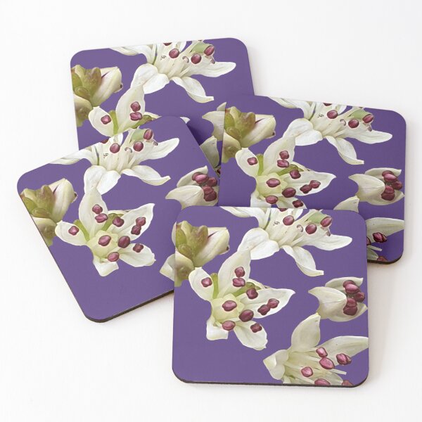 Item preview, Succulent Bloom #2 designed and sold by HORTYBYNATURE.