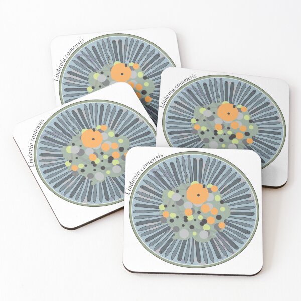 Item preview, Diatom - Lindavia comensis (scientific) designed and sold by DiatomsATTACK.